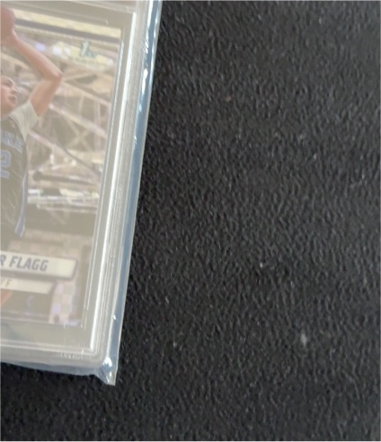 1991 Fleer #22 Terry Flagg — front