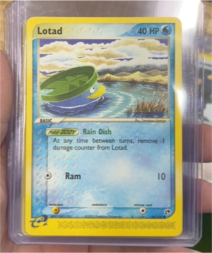 2003 Pokémon EX Sandstorm #66 Lotad — front