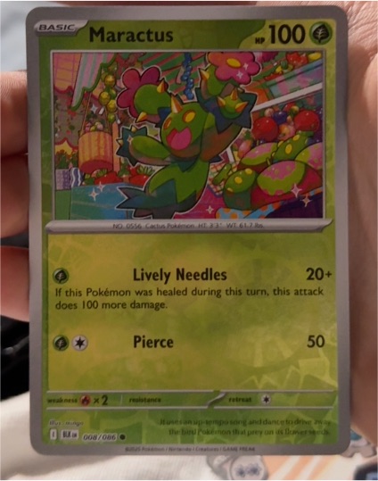 2025 Pokémon #008 Maractus — front