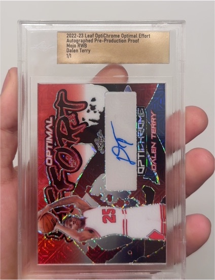 2022-23 Leaf OptiChrome Optimal Effort #Dalen Terry — front