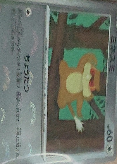 1995 Bandai Pokémon #60 Mankey — front