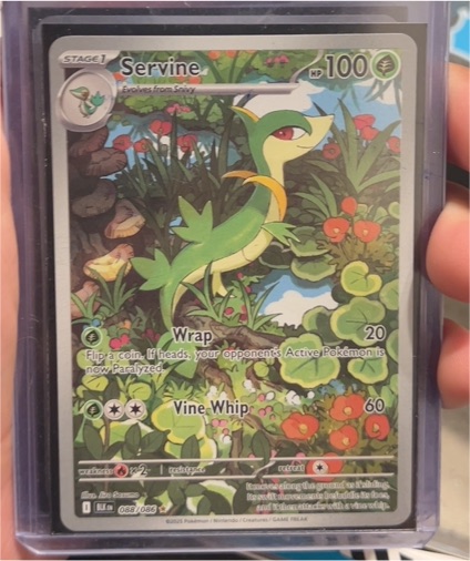2025 Pokémon TCG Black Bolt Illustration Rare #088 Servine — front