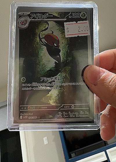 2025 Pokémon TCG Accelgor 094/086 — front