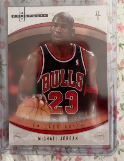 1996 Hot Prospects #23 Michael Jordan — front
