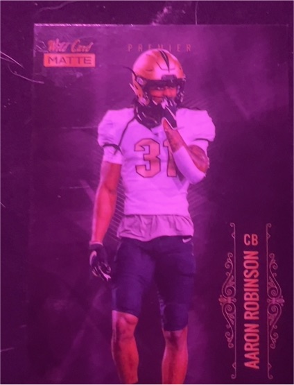 2022 SkyCard Premier Matte #31 Aaron Robinson — front