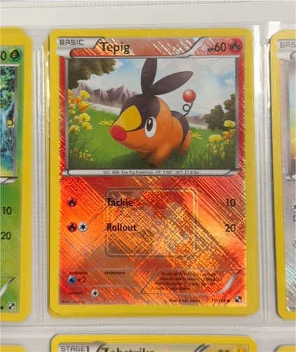 2011 Pokémon #79 Tepig — front