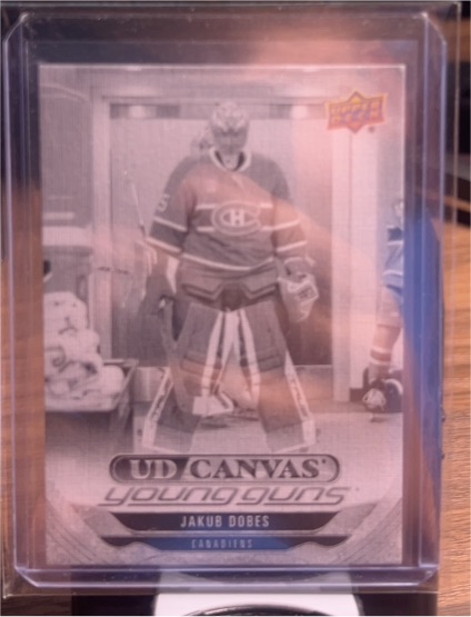 2019 Upper Deck Canvas Young Guns #C1 Jakub Dobes — front
