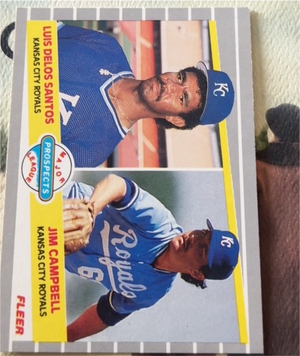 1987 Fleer A.J.C. Prospects Luis DeLos Santos / Jim Campbell — front