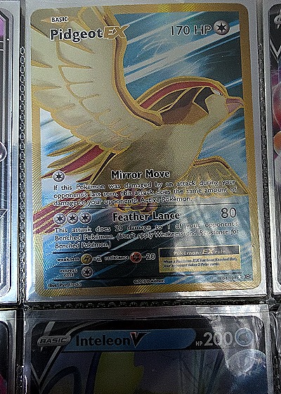 2014 Pokémon XY #11 Pidgeot EX — front