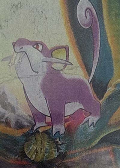 1999 Pokémon #19 Rattata — front