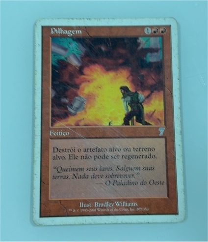 2001 Magic: The Gathering #207 Pillagem — front
