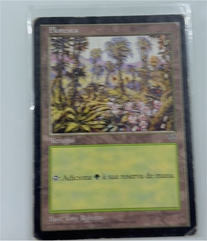1994 Magic: The Gathering #36 Horizon — front