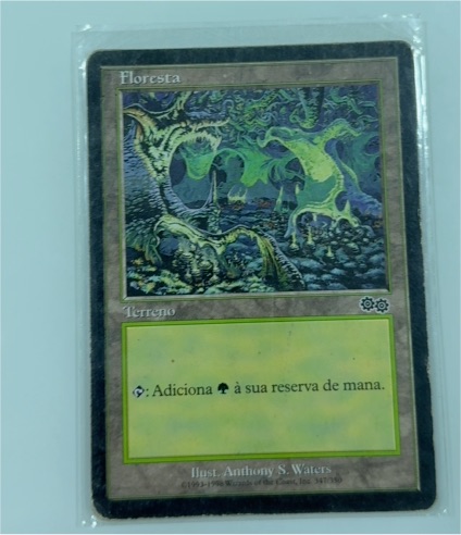 1995 Magic: The Gathering Floresta — front