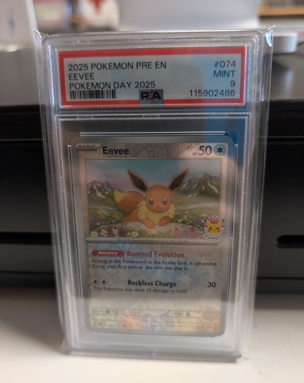 2025 Pokémon TCG #074 Eevee Pokémon Day 2025 — front