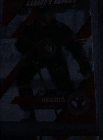 1997-98 Donruss #224 Josh Norris — front