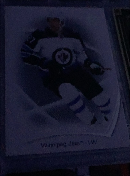 Winnipeg Jets LW Hockey Card — front