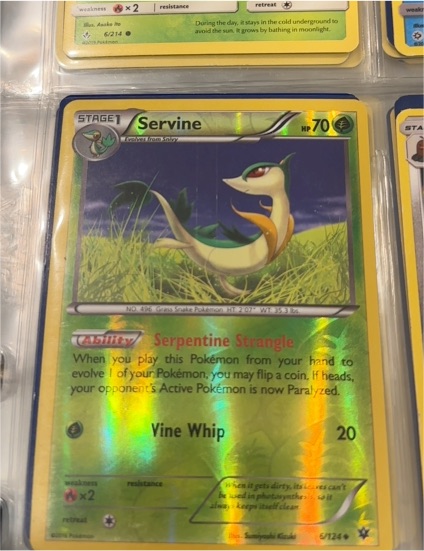 2016 Pokémon XY Fates Collide #6/124 Servine — front