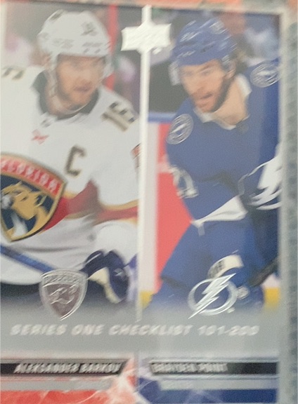 2022-23 Upper Deck #200 Aleksander Barkov / Brayden Point — front