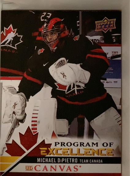 2020-21 Upper Deck Canvas #C261 Michael DiPietro — front