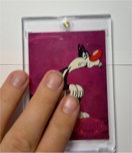 1995 Looney Tunes Sylvester Party Sack Treat Favor — front