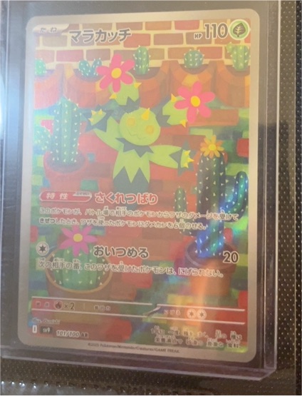 2023 Pokémon SV9 Battle Partners #101 Maractus — front