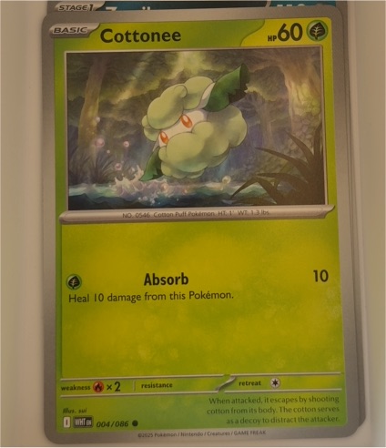 2025 Pokémon Scarlet & Violet White Flare #004 Cottonee — front