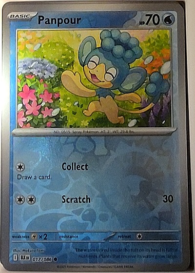 2023 Pokémon TCG SV Black Bolt #017 Panpour — front