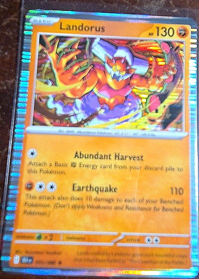 2023 Pokémon Scarlet & Violet Black Bolt #53 Landorus — front