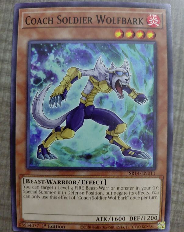2020 Maximum Gold MAGO-EN120 Coach Soldier Wolfbark — front