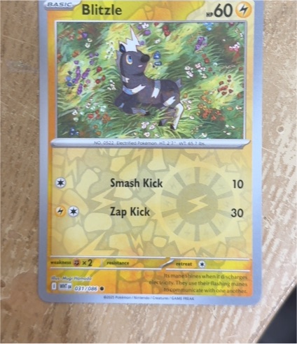 2023 Pokémon Scarlet & Violet White Flare #031 Blitzle — front