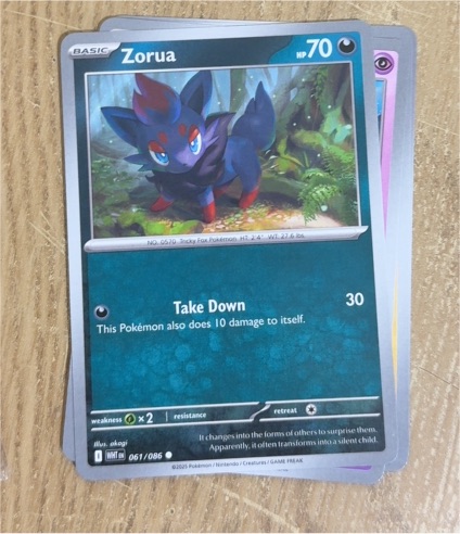 2025 Pokémon SV: White Flare #061 Zorua — front