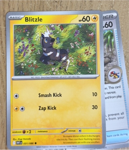 2023 Pokémon White Flare #031 Blitzle — front