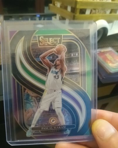 2024-25 Panini Select Premier Level #113 Pascal Siakam — front
