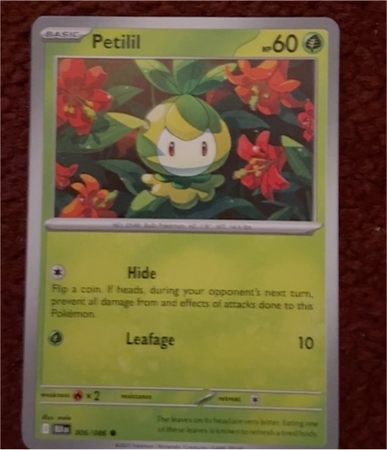 2025 Pokémon TCG Black Bolt #006 Petilil — front
