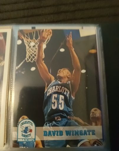 1993-94 NBA Hoops #310 David Wingate — front