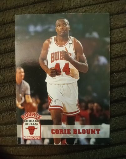 1993-94 NBA Hoops #311 Corie Blount — front