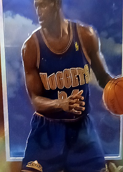 1996-97 Skybox E-X2000 #17 Antonio McDyess — front
