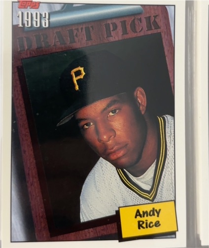 1994 Topps #208 Andy Rice — front