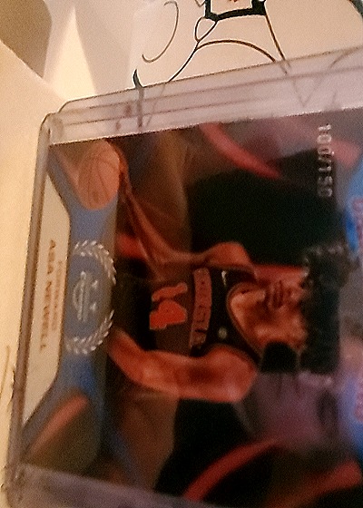 1995-96 Fleer #220 Damon Stoudamire (RC) — front