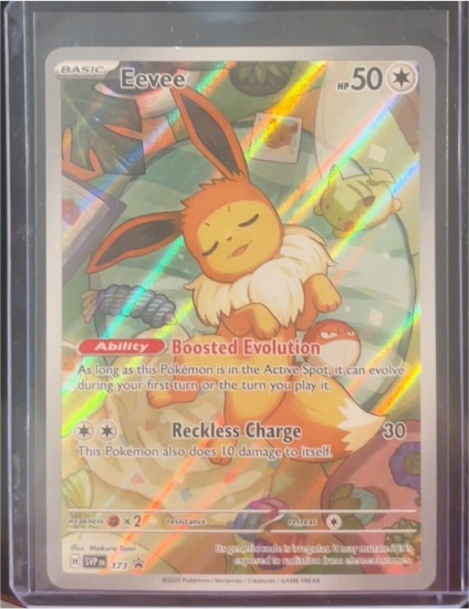 2025 Pokemon Scarlet & Violet #173 Eevee Black Star Promo — front