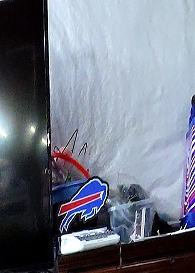 Buffalo Bills Logo Sticker — front