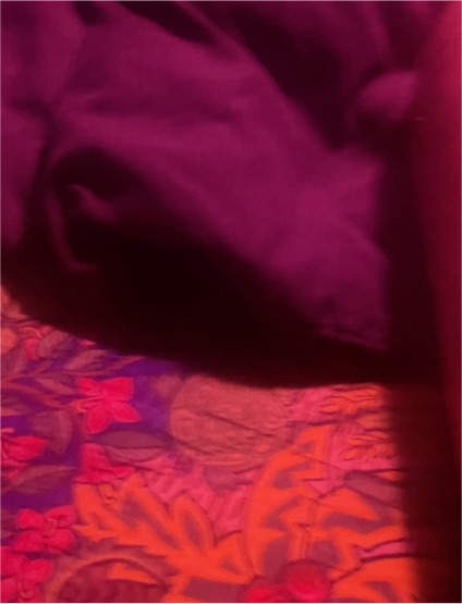 Fabric or Textile — front