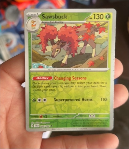 2024 Pokémon Temporal Forces #017 Sawsbuck — front