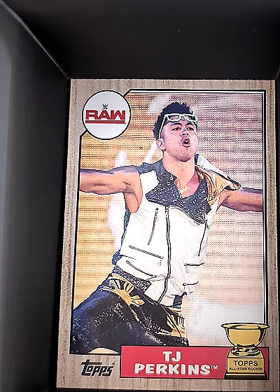 2017 Topps WWE #R-10 TJ Perkins — front