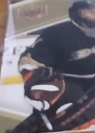 2007 Upper Deck #90 Ilya Bryzgalov Anaheim Ducks — front