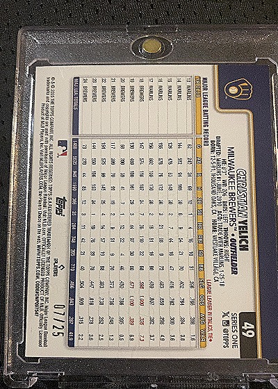 2010 Topps #49 Christian Yelich — back