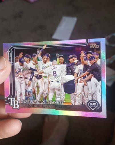 2025 Topps Series 1 #294 Tampa Bay Rays Team Card — front