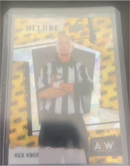 2022 Upper Deck AEW Allure #AEW LOGO /299 Rick Knox — front