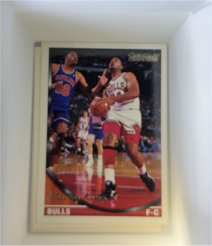 1993-94 Topps Gold #92 Scottie Pippen — front