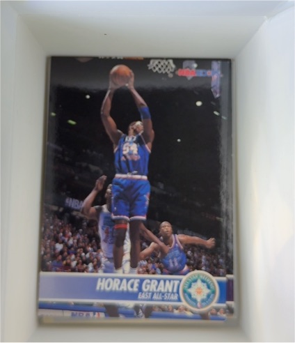 1994-95 NBA Hoops #229 Horace Grant — front